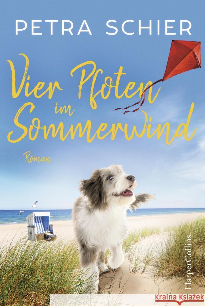 Vier Pfoten im Sommerwind