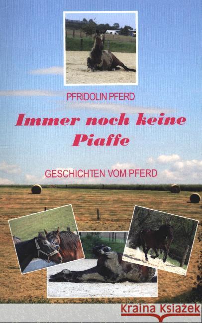 Immer noch keine Piaffe: Geschichten vom Pferd