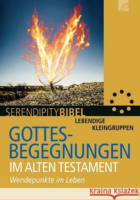 Gottesbegegnungen im Alten Testament : Wendepunkte im Leben