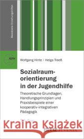 Sozialraumorientierung in der Jugendhilfe : Theoretische Grundlagen, Handlungsprinzipien und Praxisbeispiele einer kooperativen-integrativen Pädagogik