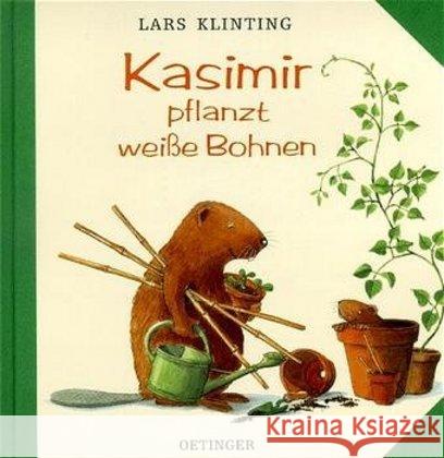 Kasimir pflanzt weiße Bohnen