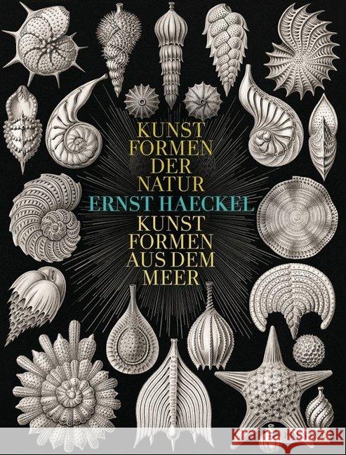 Ernst Haeckel : Kunstformen der Natur - Kunstformen aus dem Meer