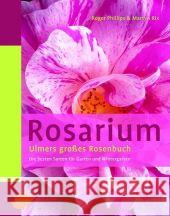 Rosarium : Ulmers großes Rosenbuch. Die besten Sorten für Garten und Wintergarten