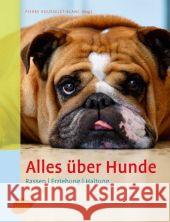 Alles über Hunde : Rassen, Erziehung, Haltung