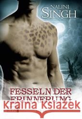 Fesseln der Erinnerung : Roman