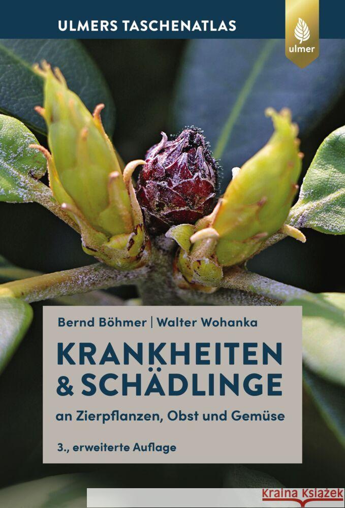 Krankheiten & Schädlinge an Zierpflanzen, Obst und Gemüse