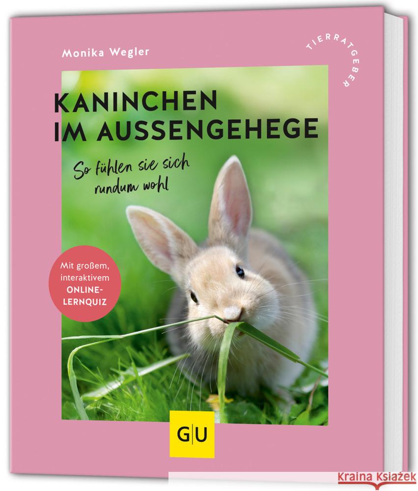 Kaninchen im Außengehege