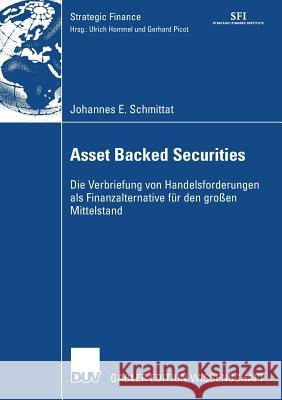 Asset Backed Securities: Die Verbriefung Von Handelsforderungen ALS Finanzierungsalternative Für Den Großen Mittelstand