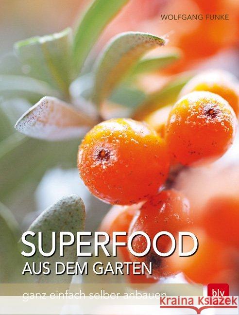 Superfood aus dem Garten : Ganz einfach selbst anbauen