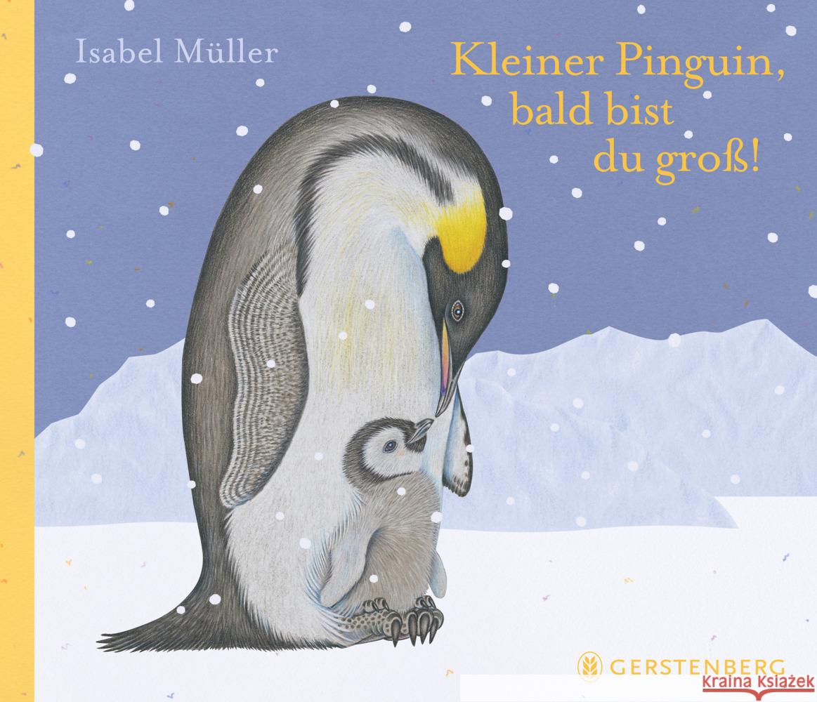 Kleiner Pinguin, bald bist du groß!