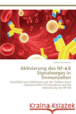 Aktivierung des NF-κB Signalweges in Immunzellen