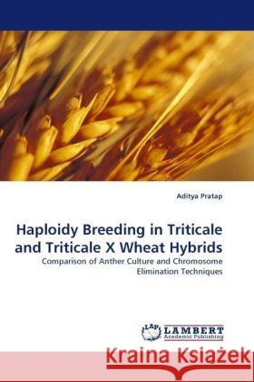 Haploidy Breeding in Triticale and Triticale X Wheat Hybrids : Comparison of Anther Culture and Chromosome Elimination Techniques