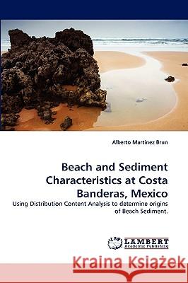 Beach and Sediment Characteristics at Costa Banderas, Mexico