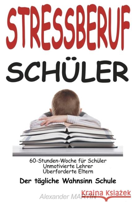 Stressberuf Schüler : Der tägliche Wahnsinn Schule