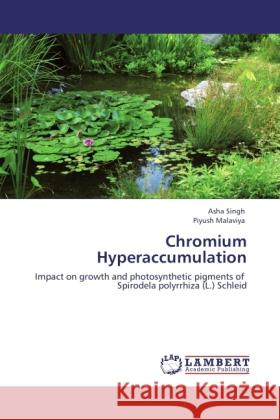 Chromium Hyperaccumulation