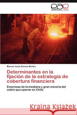 Determinantes en la fijación de la estrategia de cobertura financiera