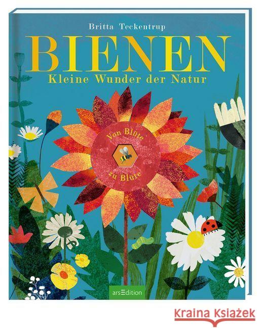 Bienen : Kleine Wunder der Natur