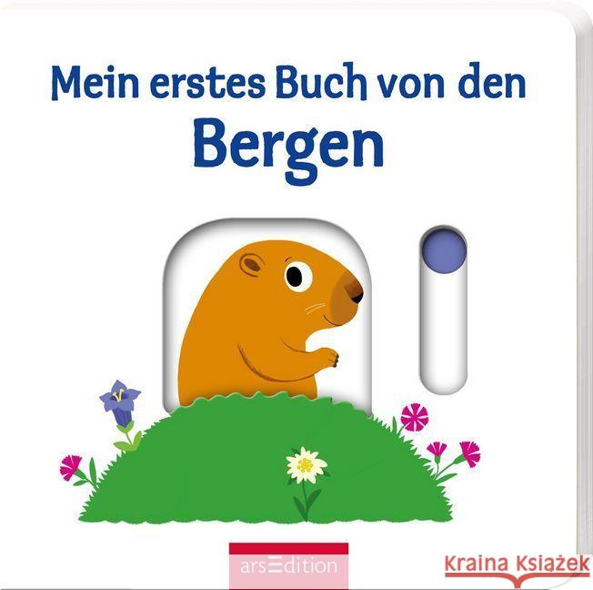 Mein erstes Buch von den Bergen