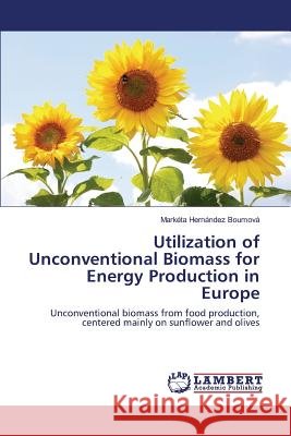 Utilization of Unconventional Biomass for Energy Production in Europe