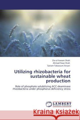 Utilizing rhizobacteria for sustainable wheat production : Role of phosphate solubilizing ACC-deaminase rhizobacteria under phosphorus deficiency stress