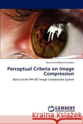Perceptual Criteria on Image Compression