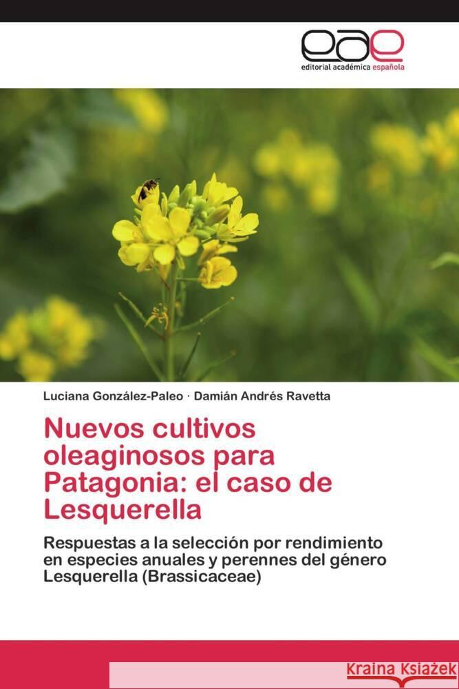 Nuevos cultivos oleaginosos para Patagonia: el caso de Lesquerella : Respuestas a la selección por rendimiento en especies anuales y perennes del género Lesquerella (Brassicaceae)