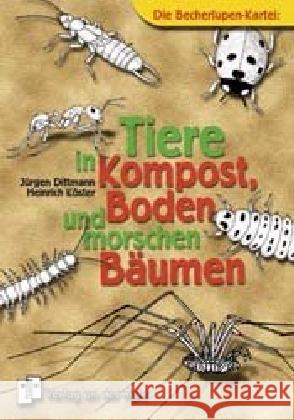 Die Becherlupen-Kartei: Tiere in Kompost, Boden und morschen Bäumen