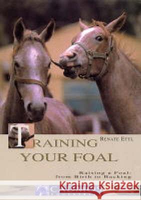 Training Your Foal : Raising a Foal: from Birth to Backing