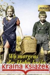 25 unvergessene Dorfgeschichten 1912-1945