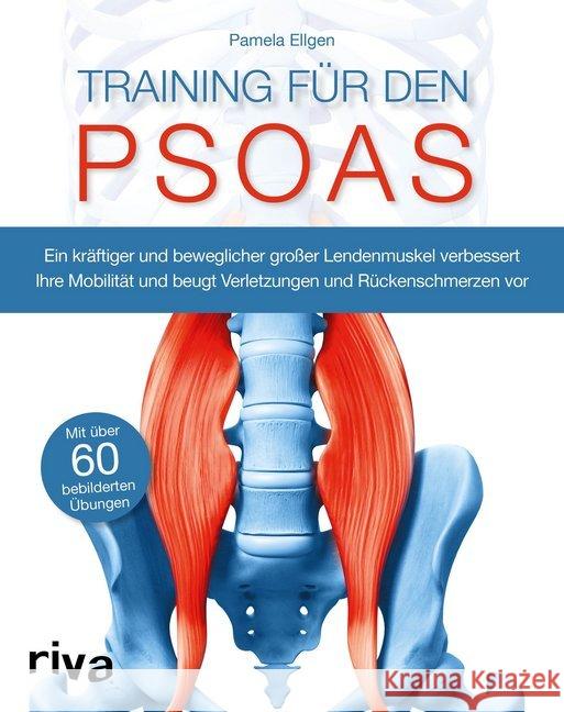 Training für den Psoas : Ein kräftiger und beweglicher großer Lendenmuskel verbessert Ihre Mobilität und beugt Verletzungen und Rückenschmerzen vor