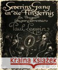 Severins Gang in die Finsternis : Ein Prager Gespensterroman