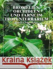 Bromelien, Orchideen und Farne im Tropenterrarium