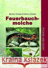 Feuerbauchmolche : Pflege und Zucht
