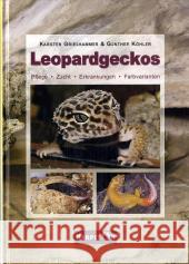 Leopardgeckos : Pflege, Zucht, Erkrankungen, Farbvarianten