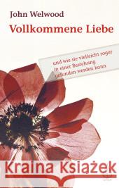 Vollkommene Liebe : Und wie sie vielleicht sogar in einer Beziehung gefunden werden kann