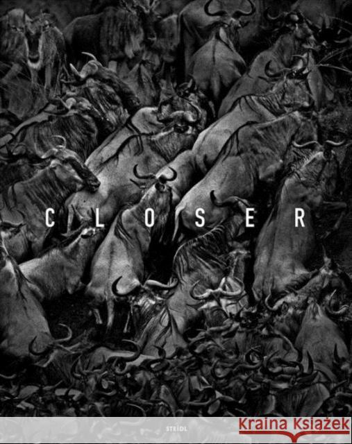 Tomasz Gudzowaty: Closer