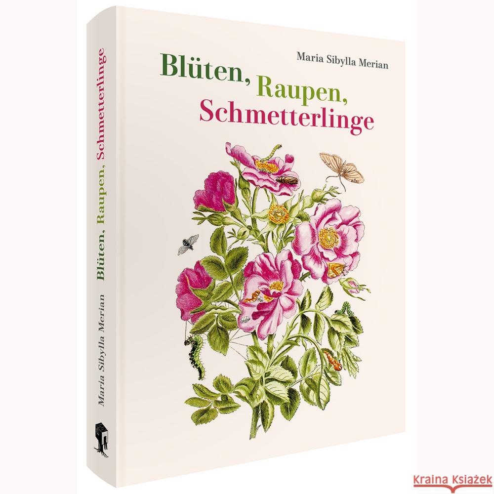 Maria Sibylla Merian - Blüten, Raupen, Schmetterlinge (Jubiläumsausgabe)