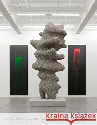 Pat Steir & Ugo Rondinone: Waterfalls & Clouds