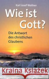 Wie ist Gott? : Die Antwort des christlichen Glaubens