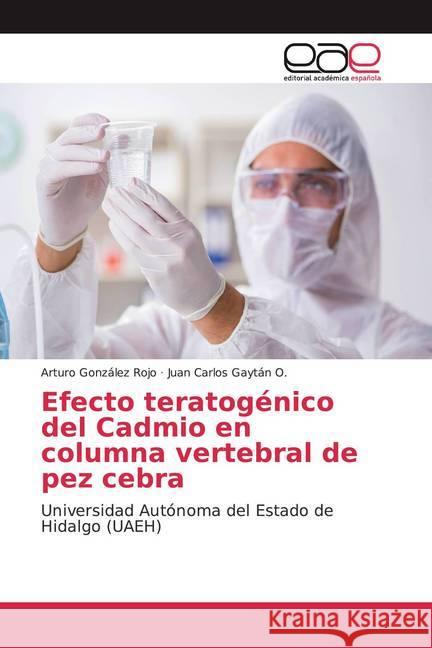 Efecto teratogénico del Cadmio en columna vertebral de pez cebra : Universidad Autónoma del Estado de Hidalgo (UAEH)