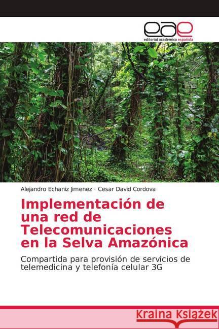 Implementación de una red de Telecomunicaciones en la Selva Amazónica : Compartida para provisión de servicios de telemedicina y telefonía celular 3G