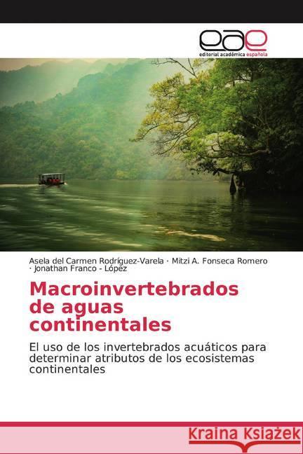 Macroinvertebrados de aguas continentales : El uso de los invertebrados acuáticos para determinar atributos de los ecosistemas continentales