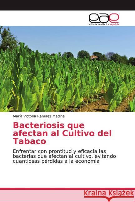 Bacteriosis que afectan al Cultivo del Tabaco : Enfrentar con prontitud y eficacia las bacterias que afectan al cultivo, evitando cuantiosas pérdidas a la economia