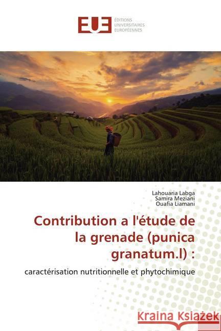 Contribution a l'étude de la grenade (punica granatum.l) : : caractérisation nutritionnelle et phytochimique