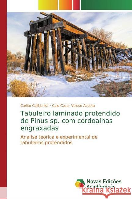 Tabuleiro laminado protendido de Pinus sp. com cordoalhas engraxadas : Analise teorica e experimental de tabuleiros protendidos