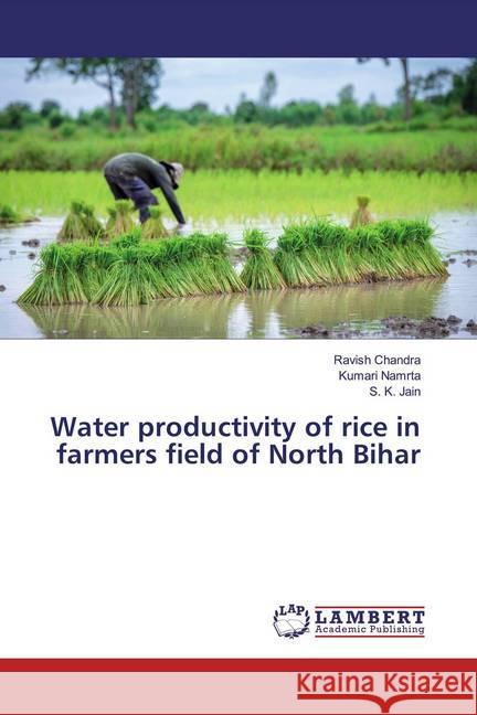 Water productivity of rice in farmers field of North Bihar