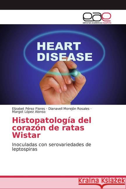 Histopatología del corazón de ratas Wistar : Inoculadas con serovariedades de leptospiras