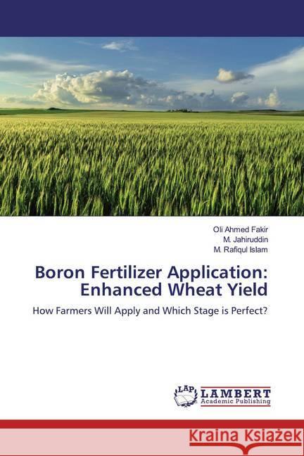 Boron Fertilizer Application: Enhanced Wheat Yield : How Farmers Will Apply and Which Stage is Perfect?