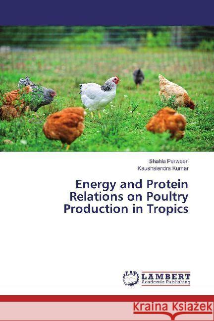 Energy and Protein Relations on Poultry Production in Tropics