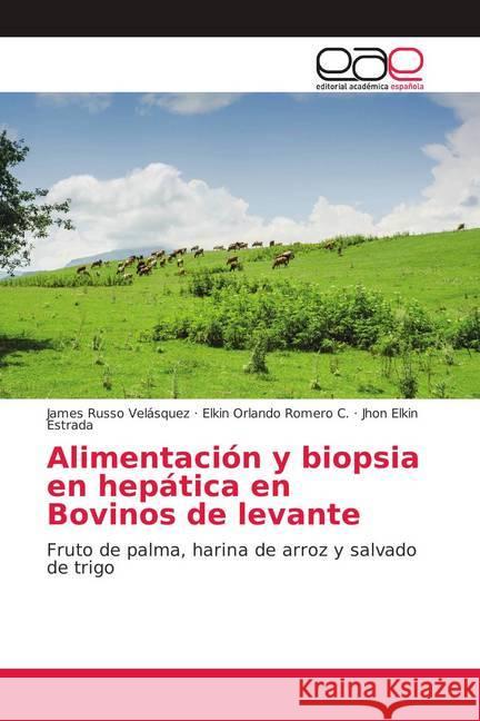 Alimentación y biopsia en hepática en Bovinos de levante : Fruto de palma, harina de arroz y salvado de trigo